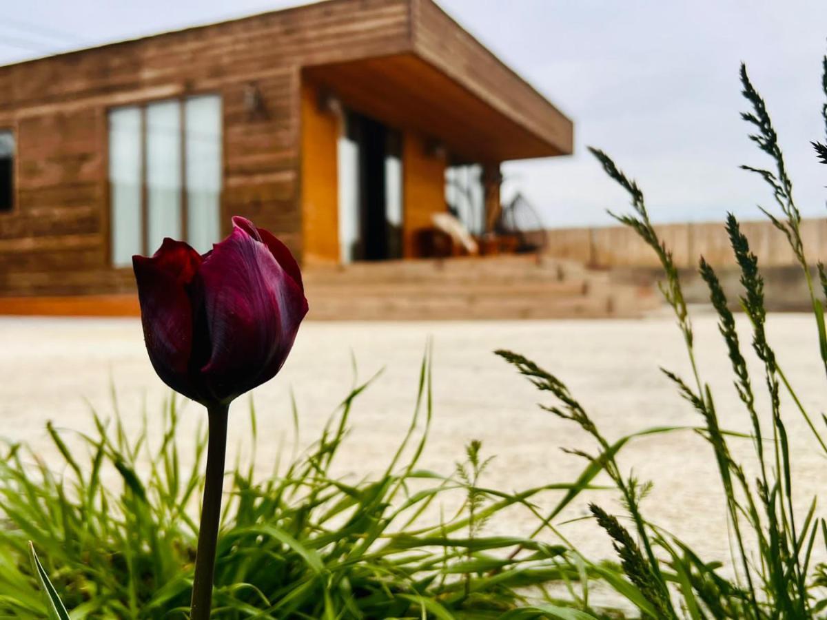 Eco House Jeo טביליסי